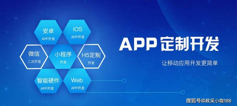 如何做好应用软件的定制开发?